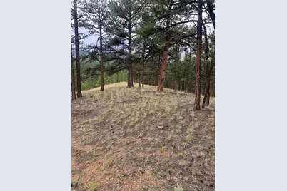 110 Wallace Drive, Florissant, CO 80816 - Photo 39