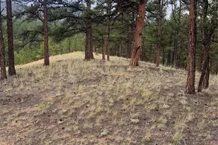 110 Wallace Dr, Florissant, CO 80816 - Photo 39