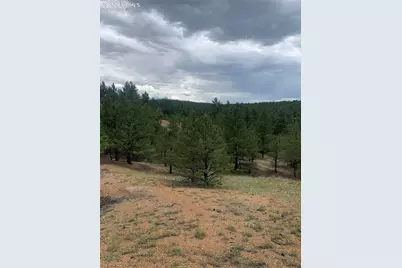 110 Wallace Drive, Florissant, CO 80816 - Photo 37