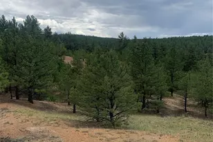 110 Wallace Dr, Florissant, CO 80816 - Photo 37