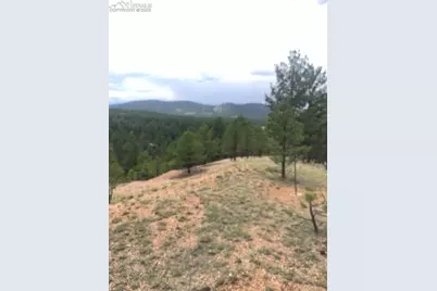 110 Wallace Drive, Florissant, CO 80816 - Photo 33