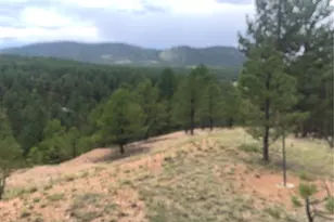 110 Wallace Dr, Florissant, CO 80816 - Photo 33