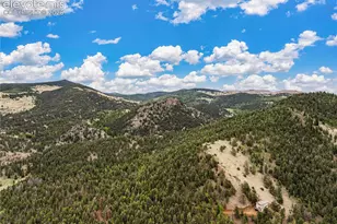3043 County Rd 1, Cripple Creek, CO 80813 - Photo 3