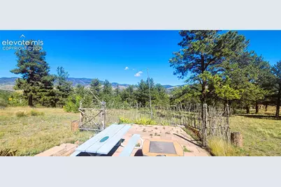 505 Buck Drive, Guffey, CO 80820 - Photo 5