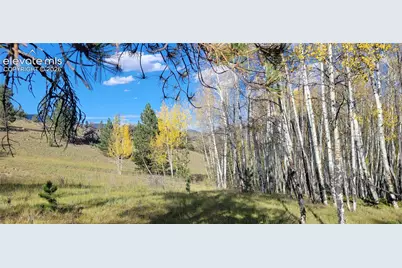 505 Buck Drive, Guffey, CO 80820 - Photo 27