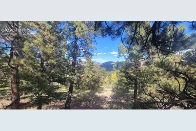 505 Buck Drive, Guffey, CO 80820 - Photo 35