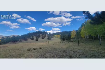 505 Buck Drive, Guffey, CO 80820 - Photo 31