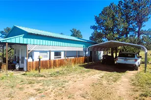 505 Buck Dr, Guffey, CO 80820 - Photo 1