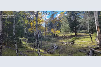 505 Buck Drive, Guffey, CO 80820 - Photo 39