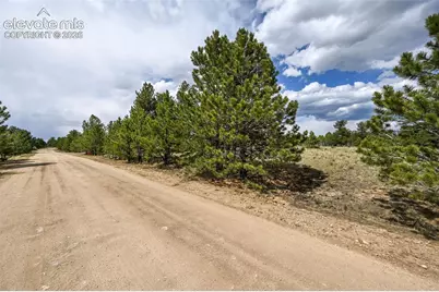 614 Yellowstone Road, Hartsel, CO 80449 - Photo 23