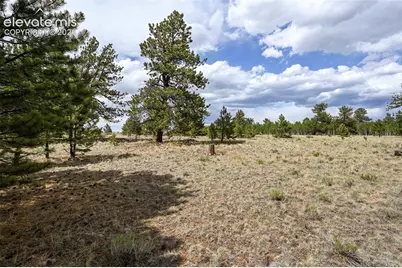614 Yellowstone Road, Hartsel, CO 80449 - Photo 15