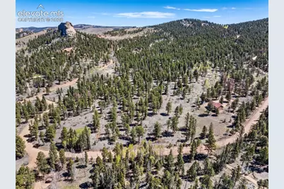 417 Beaver Creek Drive, Florissant, CO 80816 - Photo 41