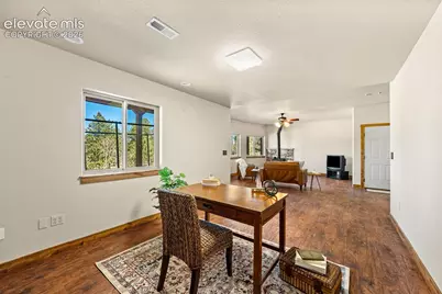 417 Beaver Creek Drive, Florissant, CO 80816 - Photo 19