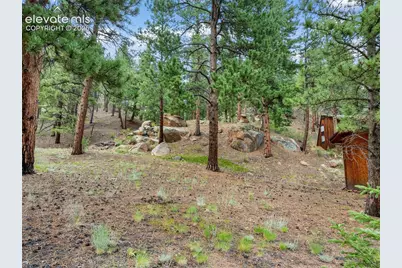 3843 County Road 33, Woodland Park, CO 80863 - Photo 19