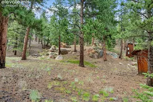 3843 Co Rd 33, Woodland Park, CO 80863 - Photo 19