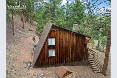 3843 County Road 33, Woodland Park, CO 80863 - Photo 9