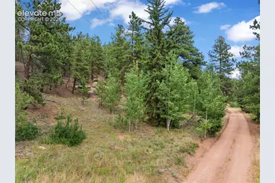3843 County Road 33, Woodland Park, CO 80863 - Photo 17