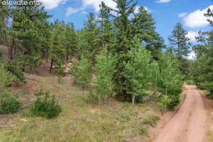3843 Co Rd 33, Woodland Park, CO 80863 - Photo 17