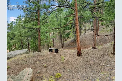 3843 County Road 33, Woodland Park, CO 80863 - Photo 13