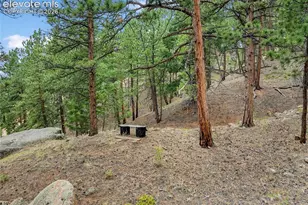3843 Co Rd 33, Woodland Park, CO 80863 - Photo 13