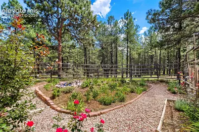 9890 Hardy Road, Colorado Springs, CO 80908 - Photo 47