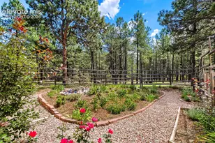 9890 Hardy Rd, Colorado Springs, CO 80908 - Photo 47