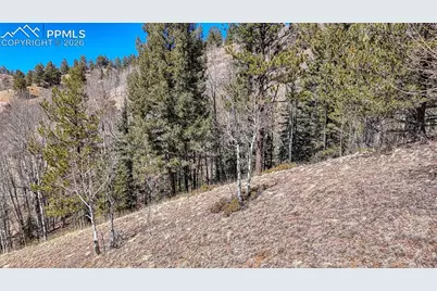 513 Last Dollar Drive, Cripple Creek, CO 80813 - Photo 19