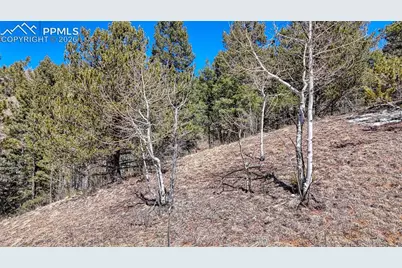 513 Last Dollar Drive, Cripple Creek, CO 80813 - Photo 7