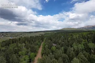 776 Jolly Rogue Dr, Divide, CO 80814 - Photo 25