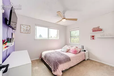 7670 Conifer Drive, Colorado Springs, CO 80920 - Photo 23