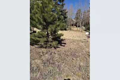 405 Meadow Park Drive, Divide, CO 80814 - Photo 3