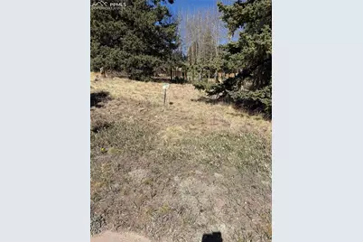 405 Meadow Park Drive, Divide, CO 80814 - Photo 9