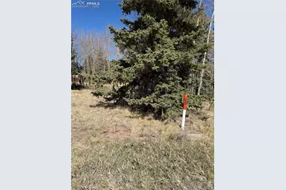 405 Meadow Park Drive, Divide, CO 80814 - Photo 7