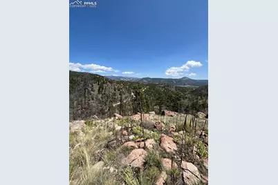 160 Chateau West Drive, Florissant, CO 80816 - Photo 27