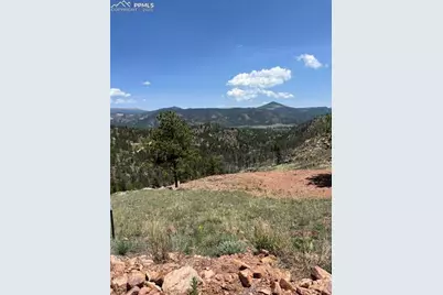 160 Chateau West Drive, Florissant, CO 80816 - Photo 3