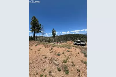 160 Chateau West Drive, Florissant, CO 80816 - Photo 11