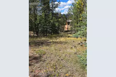 181 Troy Drive, Cripple Creek, CO 80813 - Photo 13