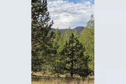 181 Troy Drive, Cripple Creek, CO 80813 - Photo 3