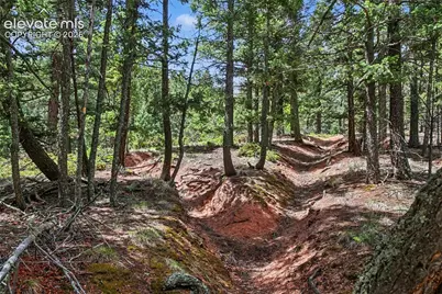 10905 W Highway 24, Green Mountain Falls, CO 80819 - Photo 21