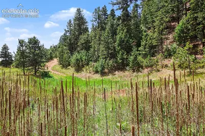 10905 W Highway 24, Green Mountain Falls, CO 80819 - Photo 3