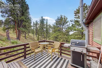 525 Wilson Way, Cripple Creek, CO 80813 - Photo 45