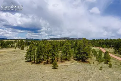Tbd Doe Valley Road, Guffey, CO 80820 - Photo 17