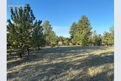 Tbd Doe Valley Road, Guffey, CO 80820 - Photo 13