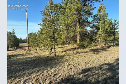 Tbd Doe Valley Road, Guffey, CO 80820 - Photo 11
