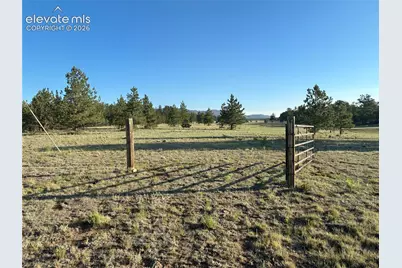 Tbd Doe Valley Road, Guffey, CO 80820 - Photo 3