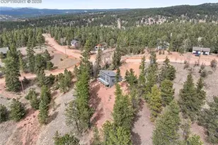1328 N Mountain Estates Rd, Florissant, CO 80816 - Photo 45