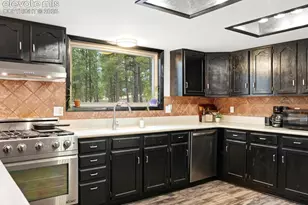 14635 Westcreek Rd, Woodland Park, CO 80863 - Photo 23