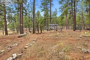 14635 Westcreek Rd, Woodland Park, CO 80863 - Photo 43
