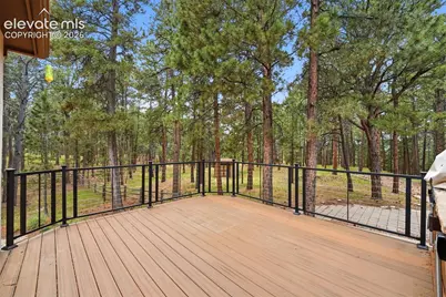 3925 Wavy Oak Drive, Colorado Springs, CO 80908 - Photo 33