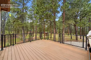 3925 Wavy Oak Dr, Colorado Springs, CO 80908 - Photo 33